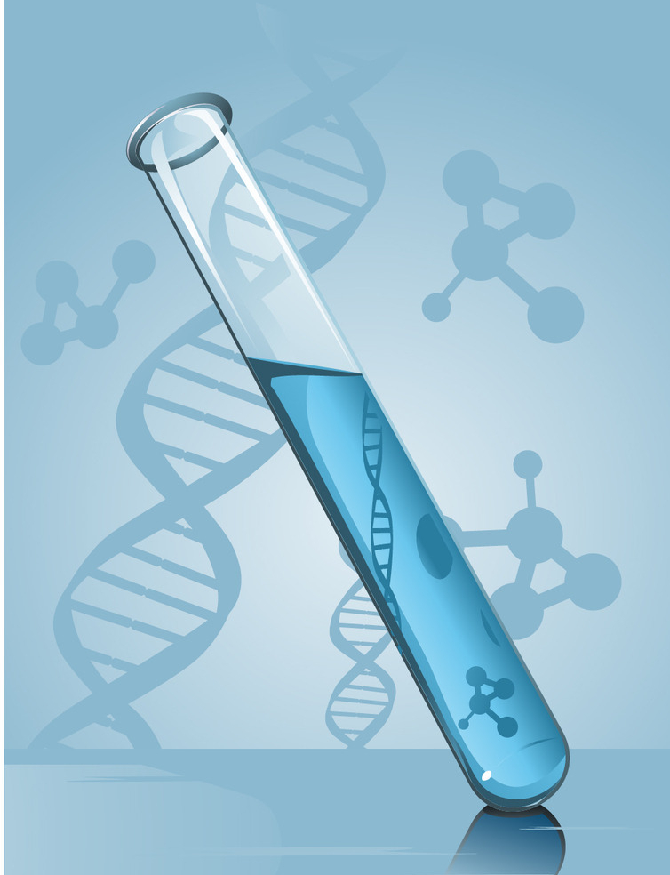 第三代试管婴儿的流程