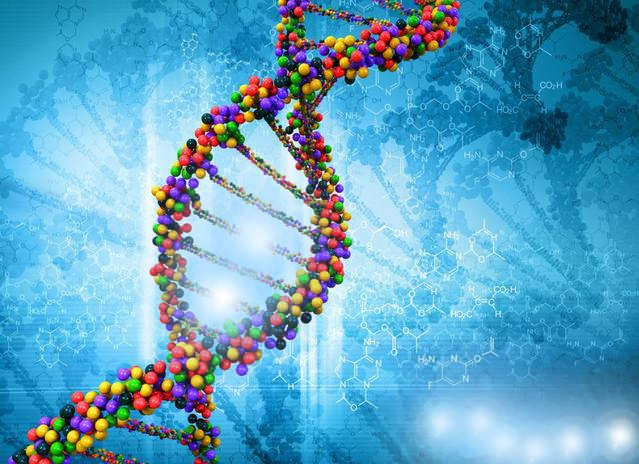 高龄做三代试管婴儿成功率很低吗？